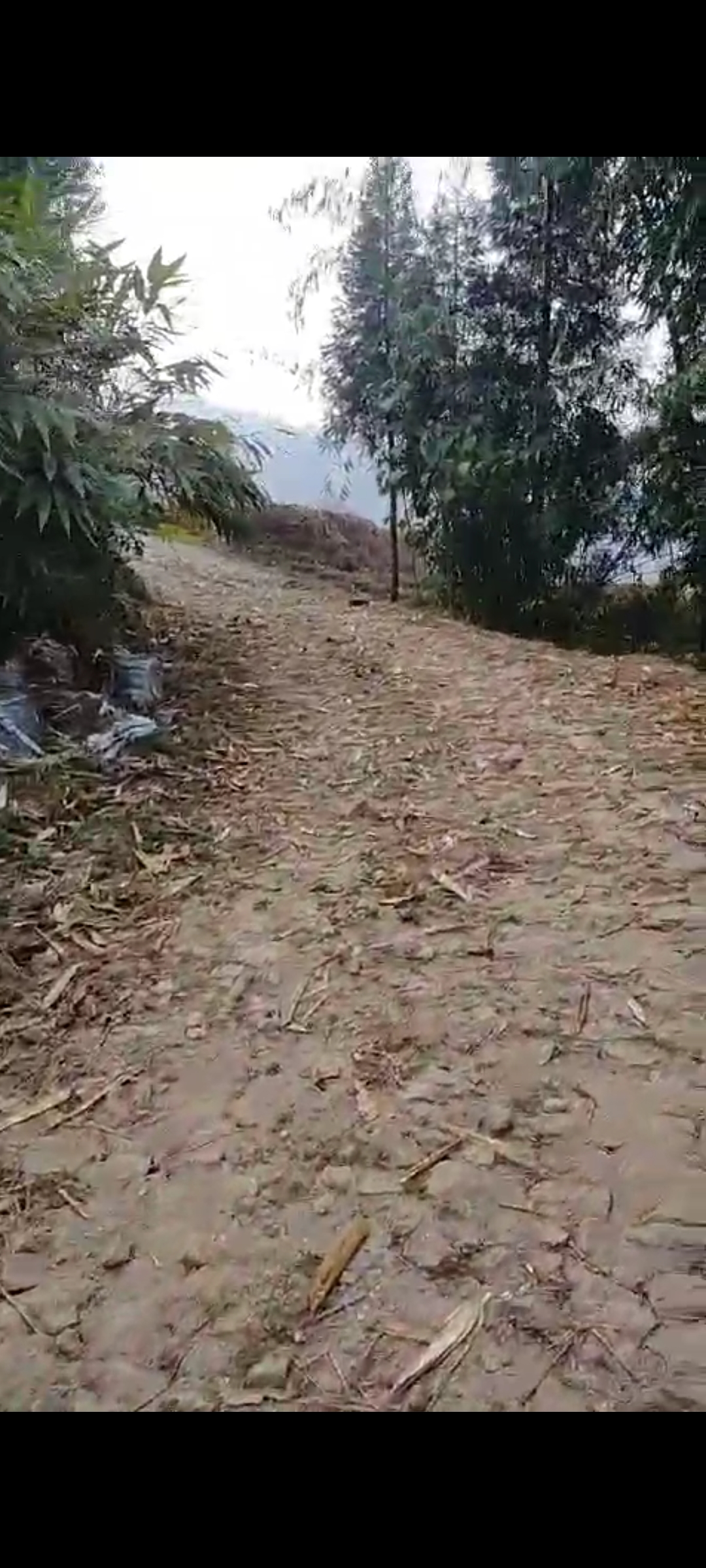 Picture of Suryodaya Municipality, Koshi
