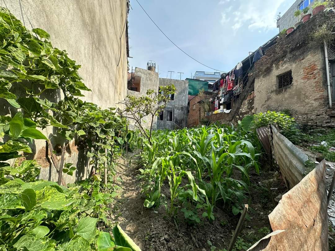 Picture of Kathmandu Metropolitan City, Bagmati