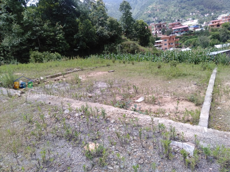 Picture of Nagarjun Municipality, Bagmati Province