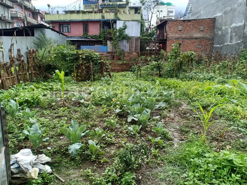 Picture of Chandragiri Municipality, Bagmati Province