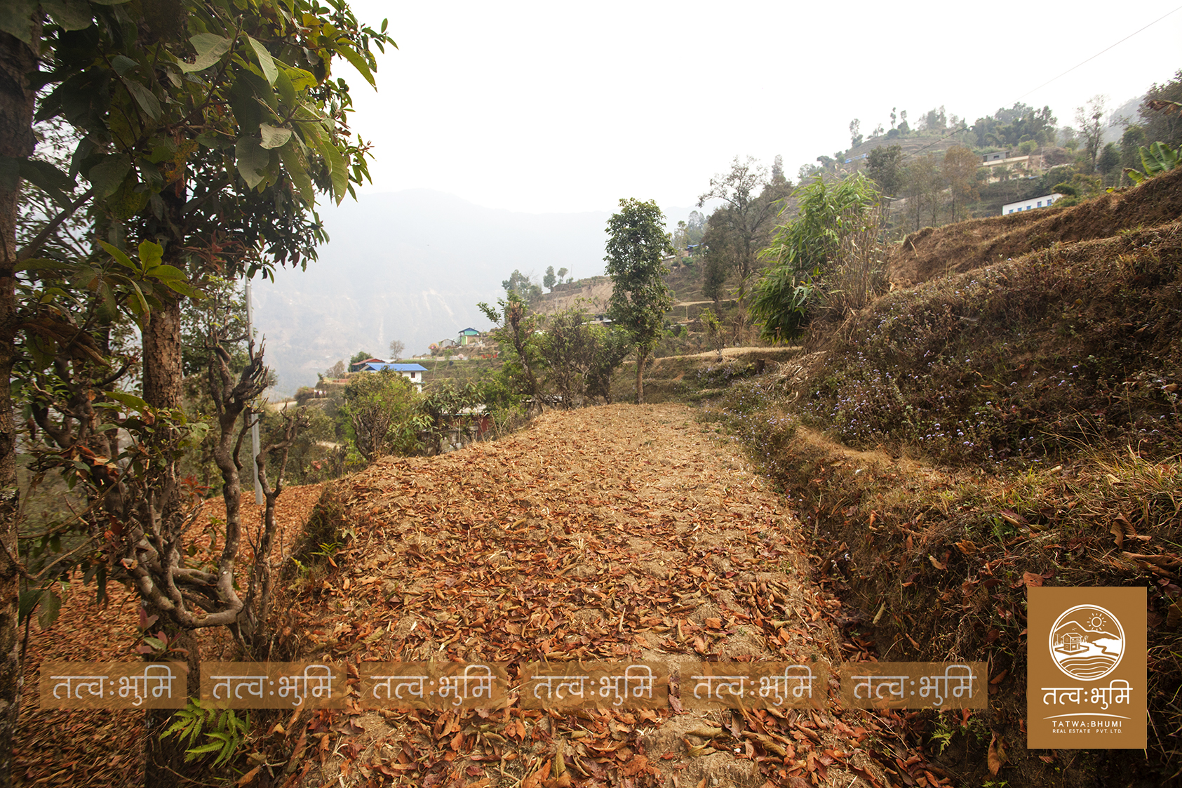 Picture of Shivapuri Rural Municipality, Bagmati