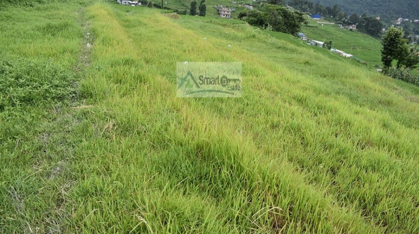 Picture of Lalitpur Metropolitan City, Bagmati Province