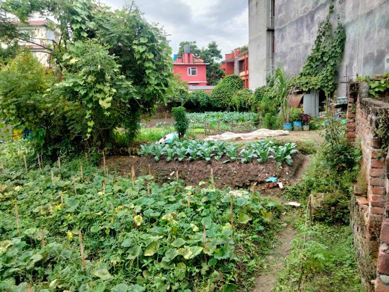Land on sale at Baluwatar, Kathmandu
