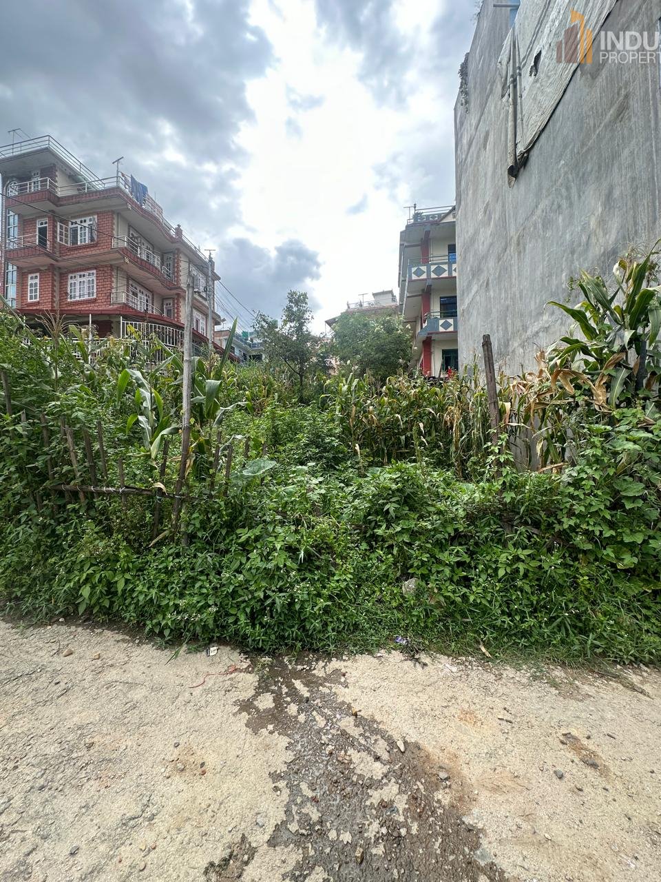 Picture of Mahalaxmi Municipality, Bagmati