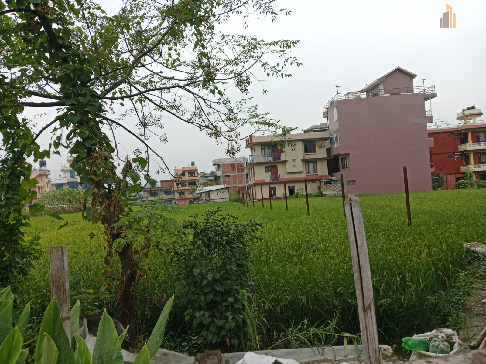 Picture of Mahalaxmi Municipality, Bagmati