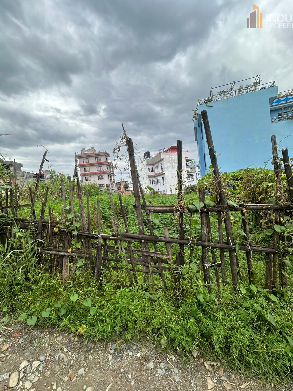 Picture of Mahalaxmi Municipality, Bagmati