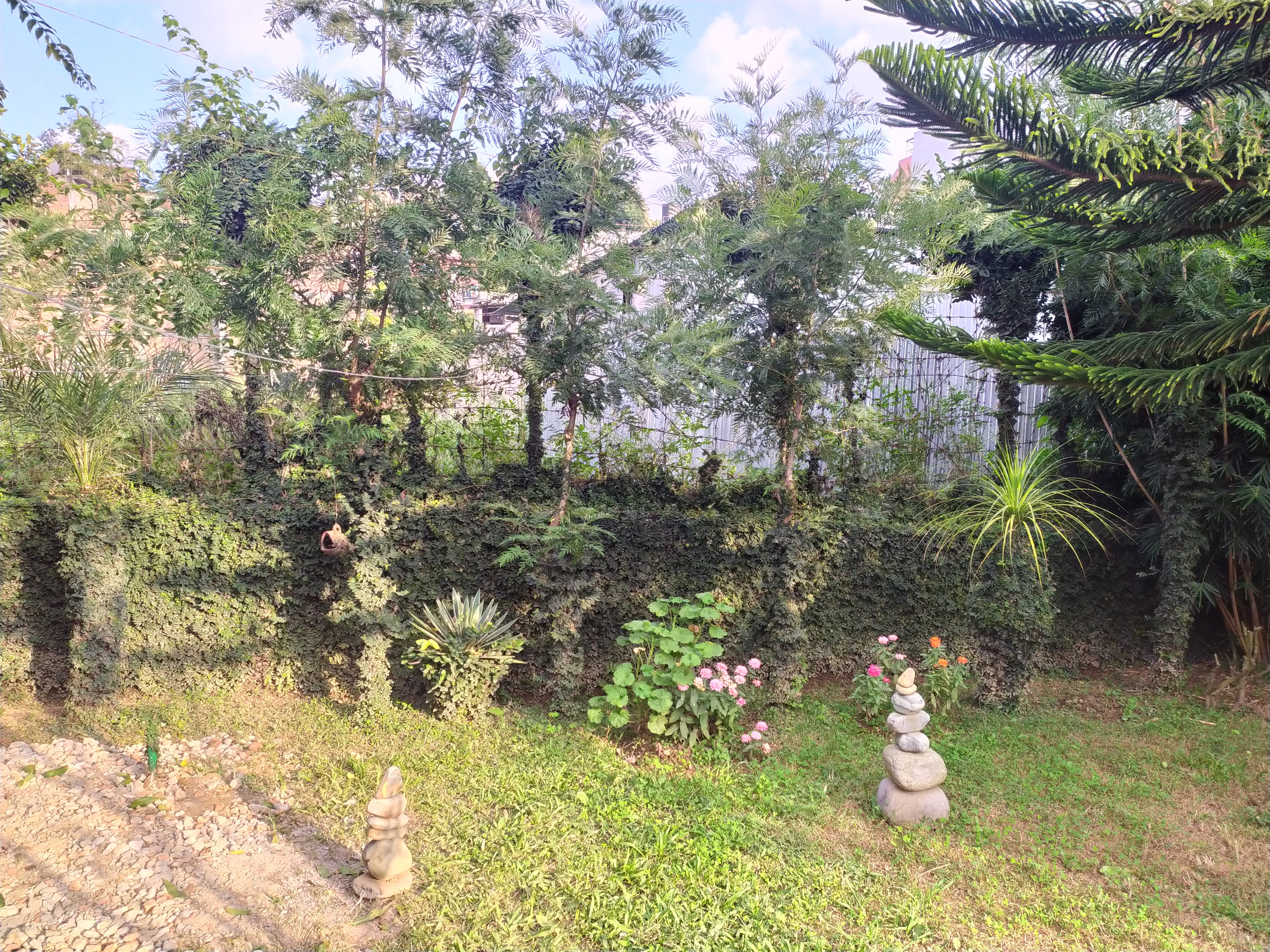 Picture of Nagarjun Municipality, Bagmati