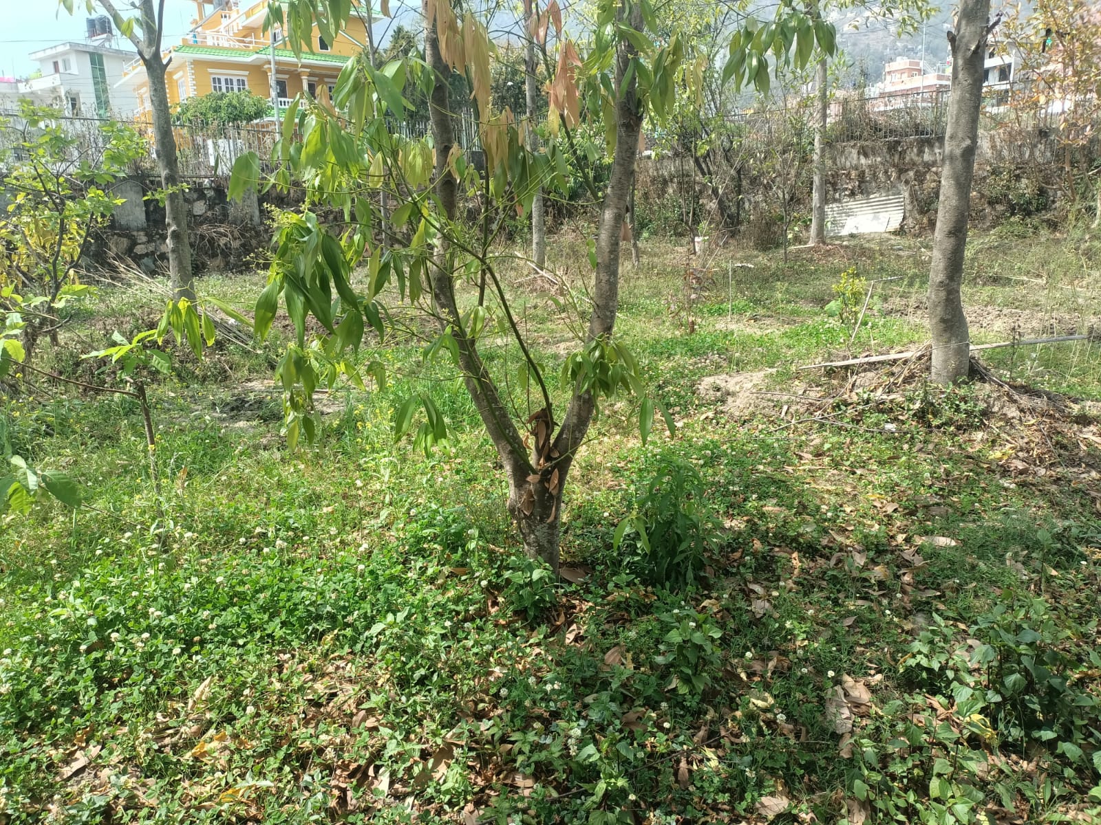 Picture of Budhanilkantha Municipality, Bagmati