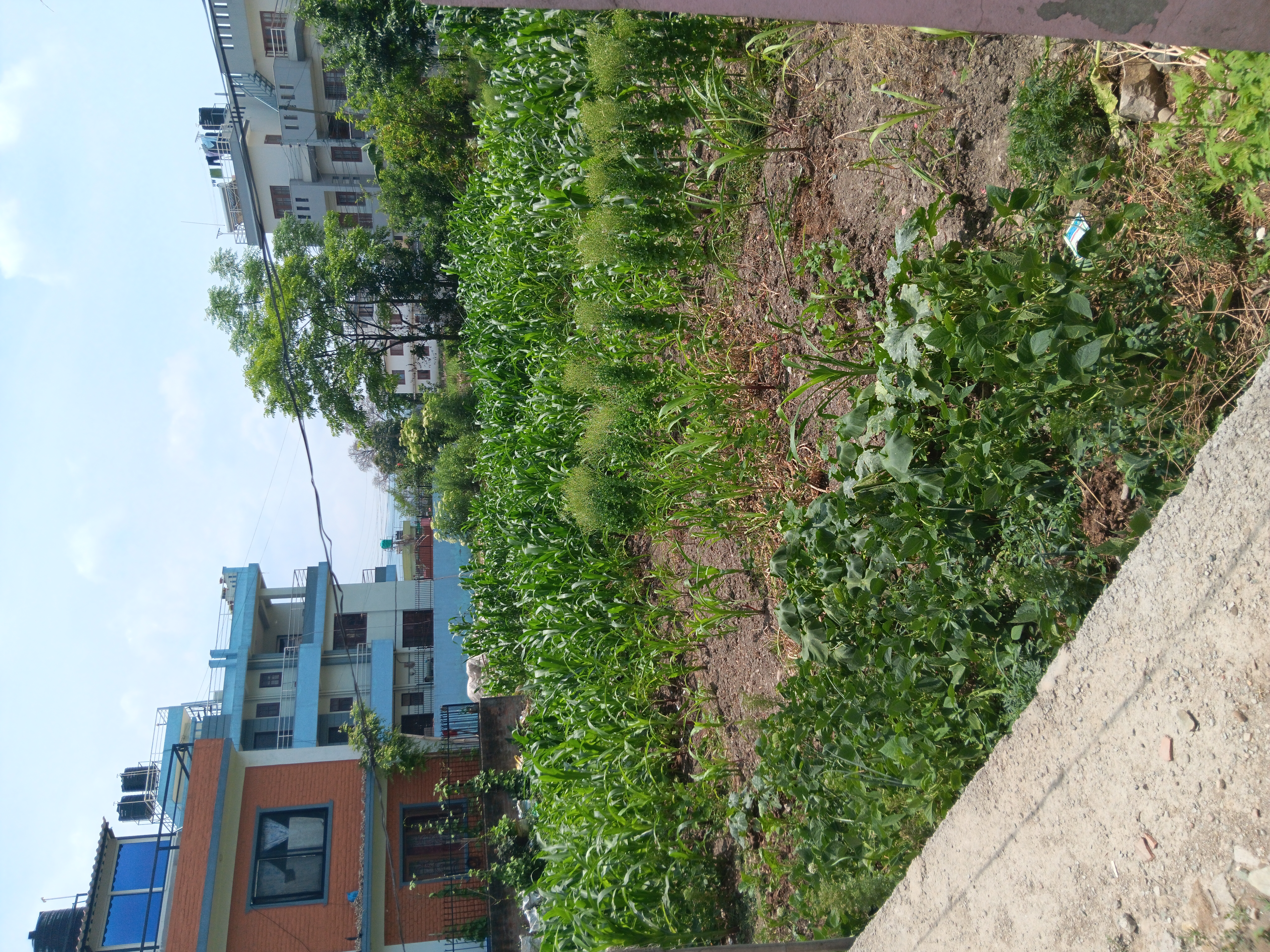 Picture of Lalitpur Metropolitan City, Bagmati