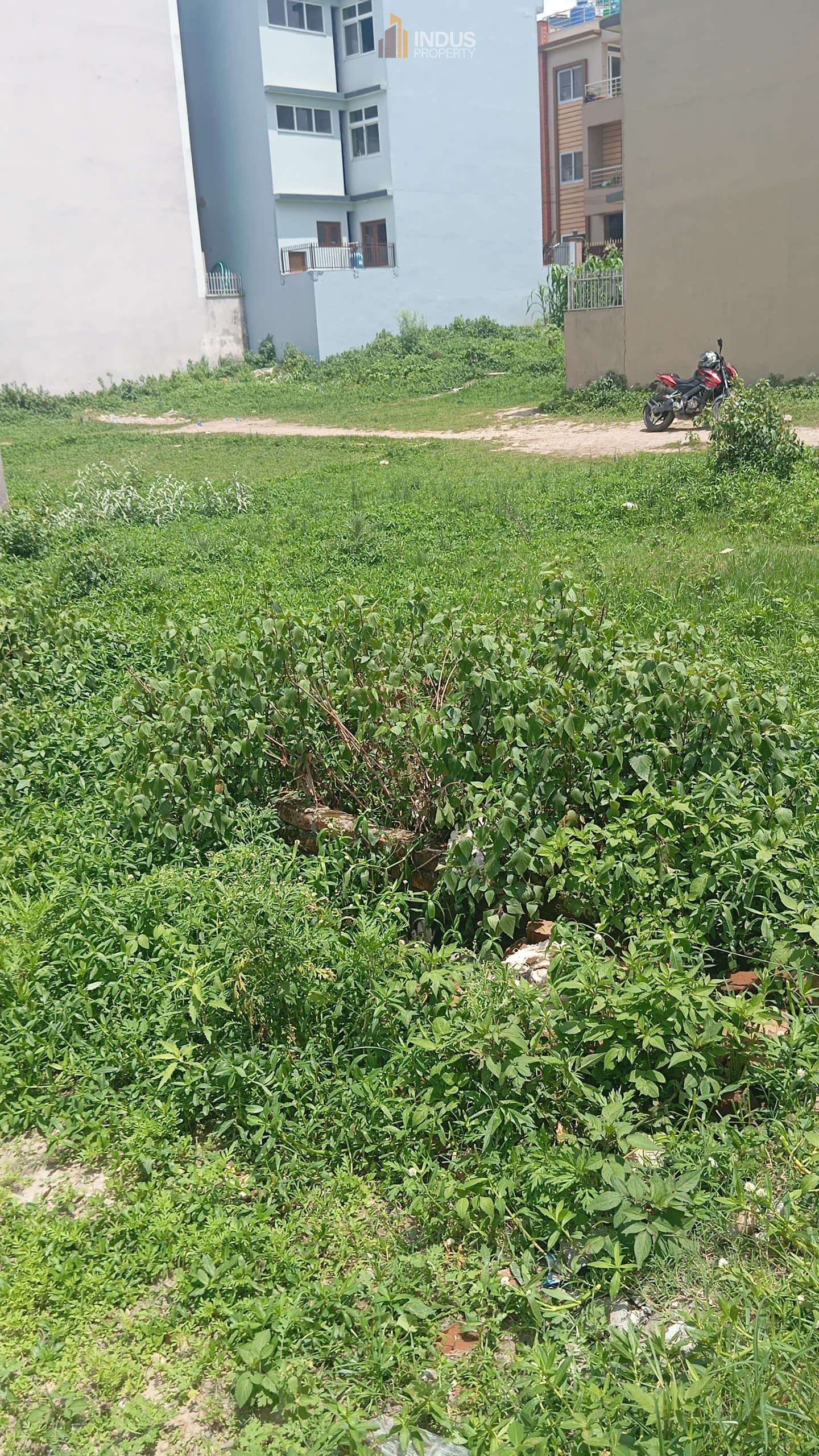 Picture of Mahalaxmi Municipality, Bagmati