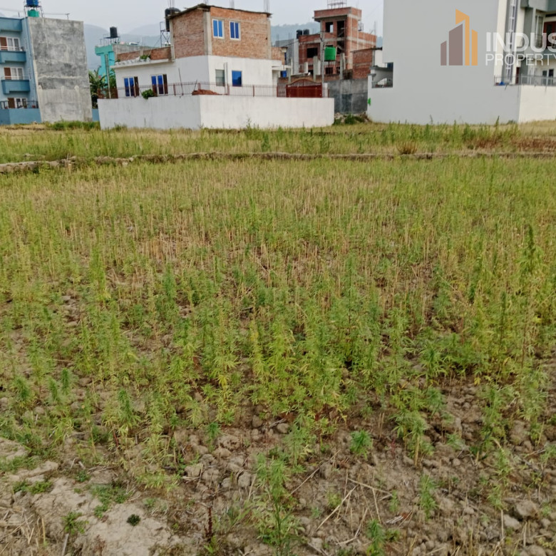 Picture of Mahalaxmi Municipality, Bagmati