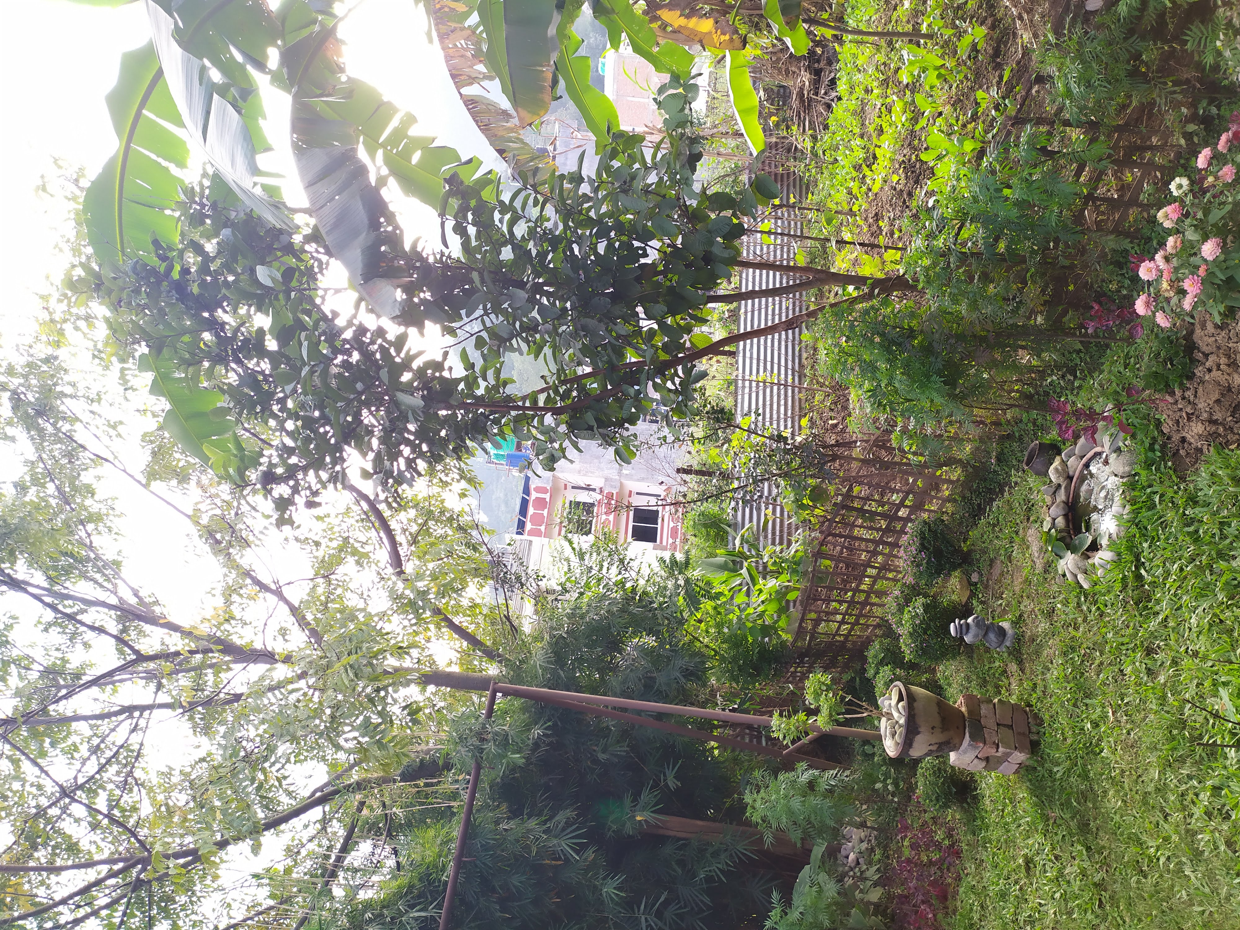Picture of Nagarjun Municipality, Bagmati