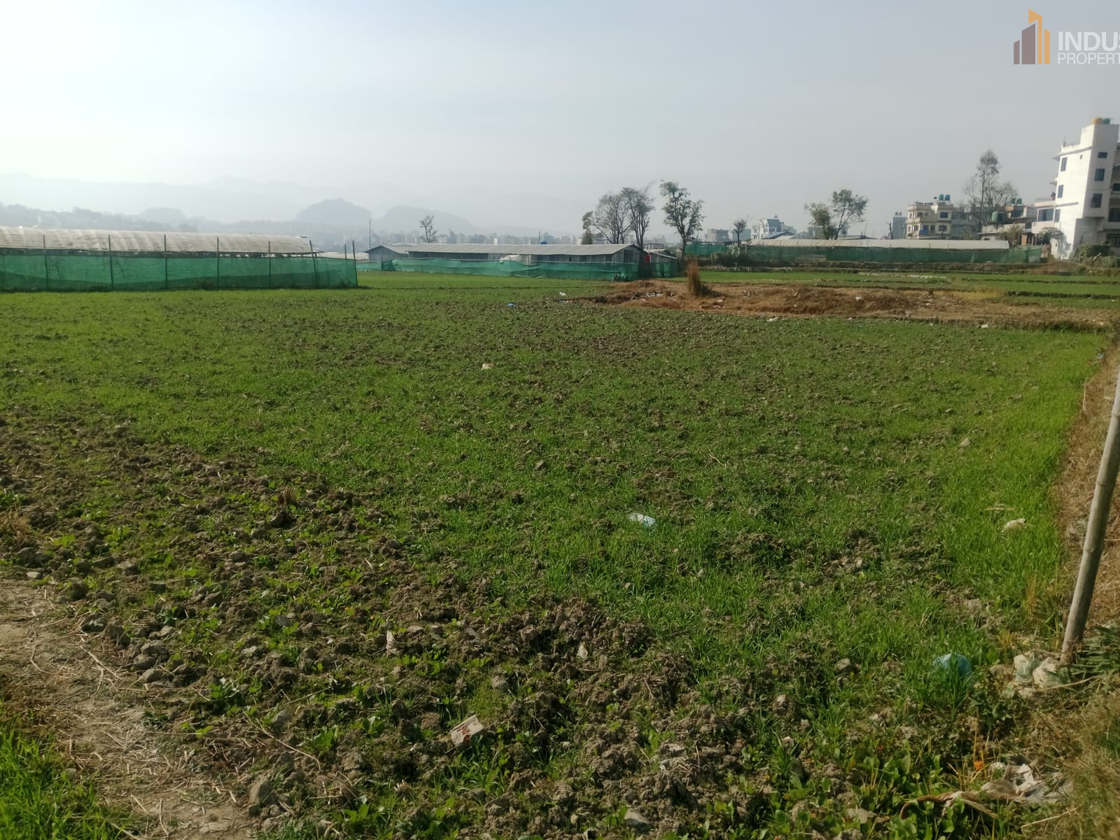 Picture of Mahalaxmi Municipality, Bagmati