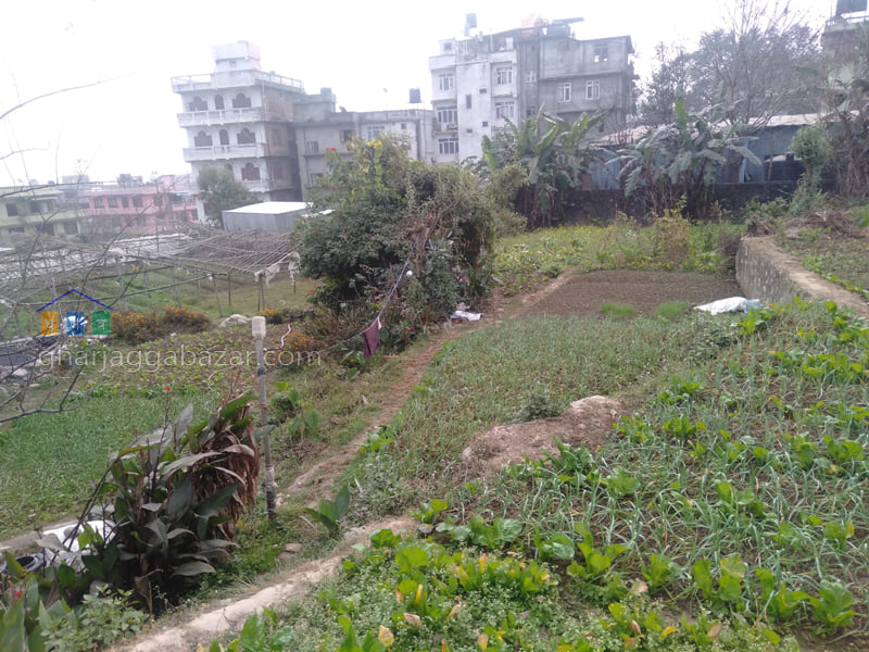 Picture of Chandragiri  Municipality, Bagmati Province