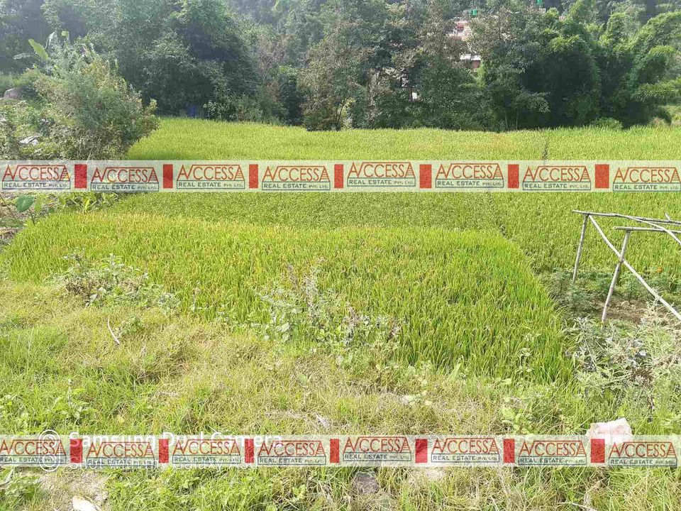 Picture of Suryabinayak Municipality, Bagmati Province
