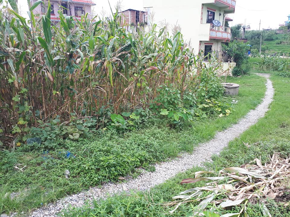 Picture of Chandragiri Municipality, Bagmati Province