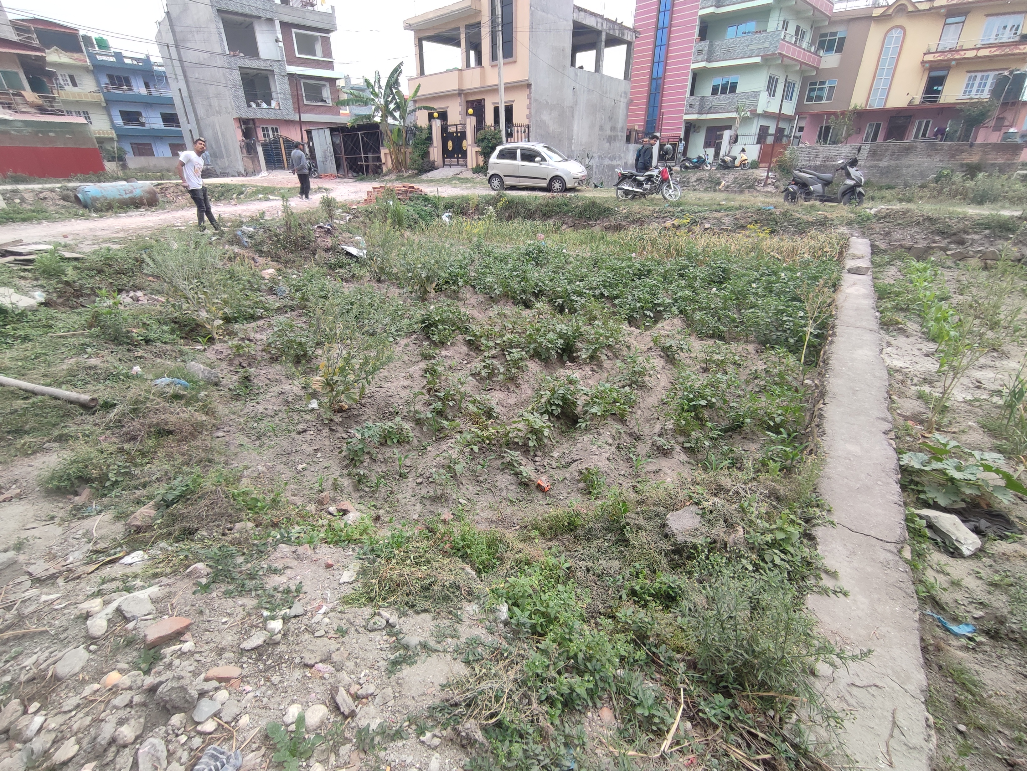 Picture of Madhyapur Thimi Municipality, Bagmati