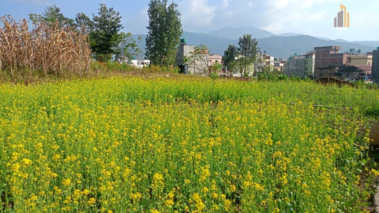 Picture of Suryabinayak Municipality, Bagmati
