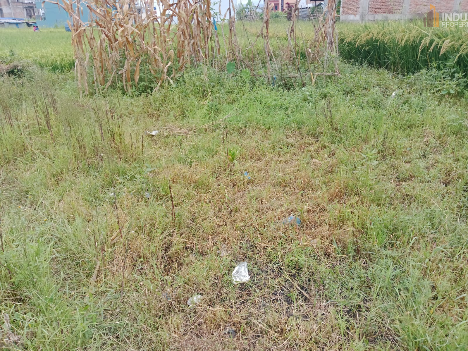 Picture of Mahalaxmi Municipality, Bagmati