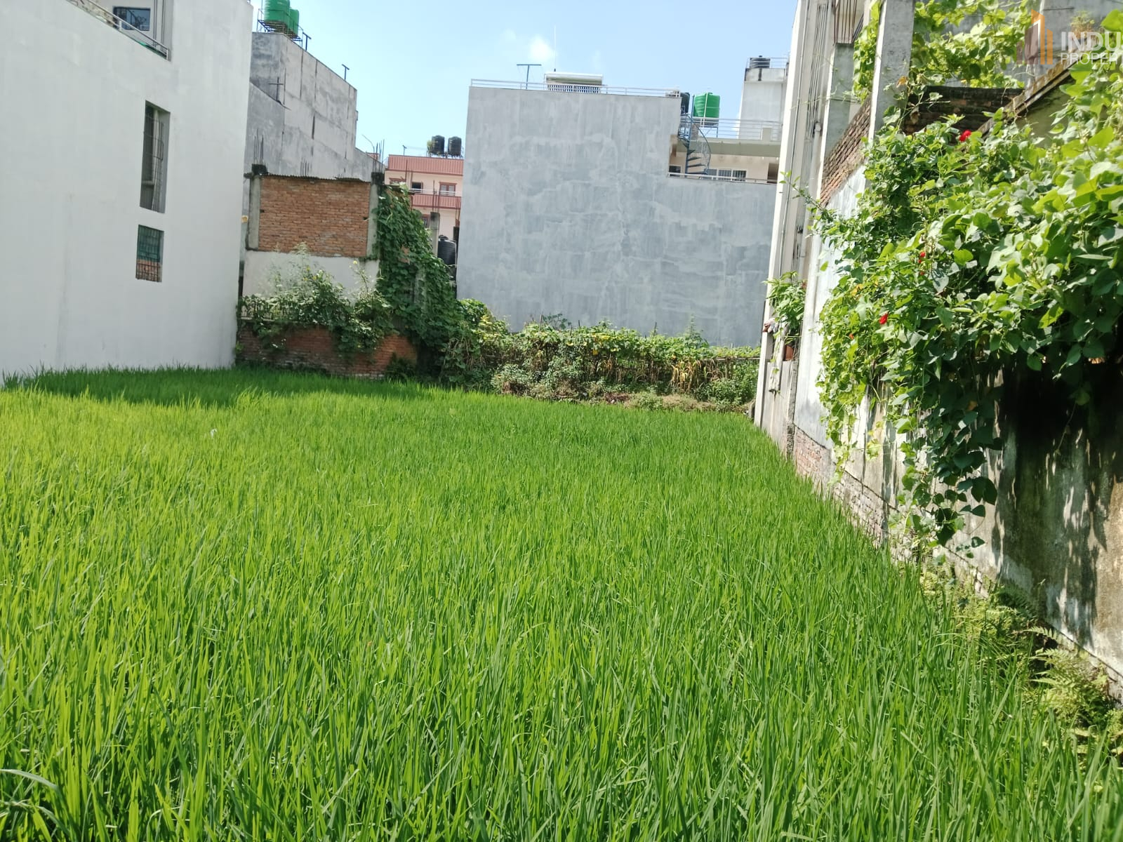 Picture of Mahalaxmi Municipality, Bagmati