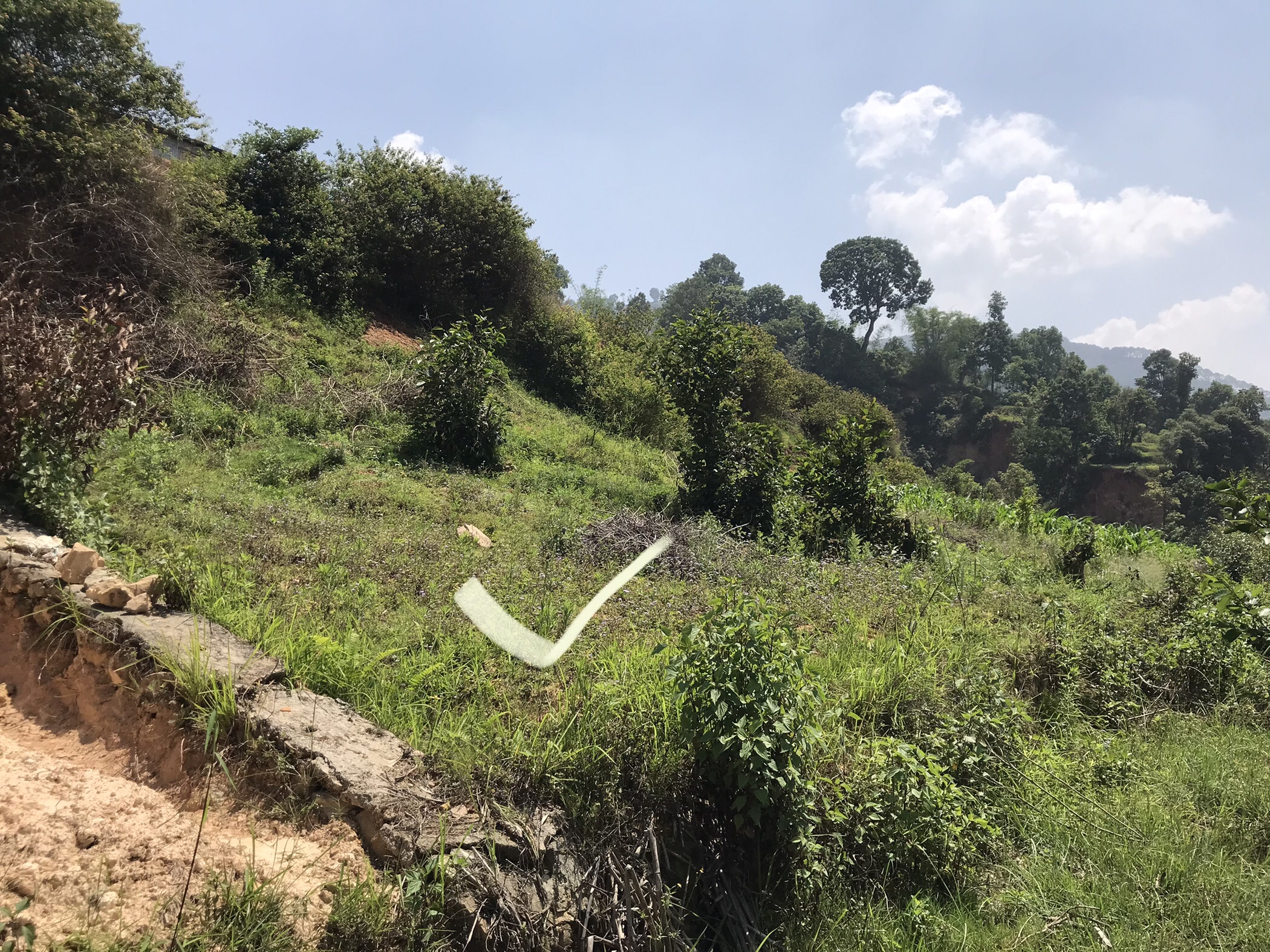 Picture of Nagarjun Municipality, Bagmati