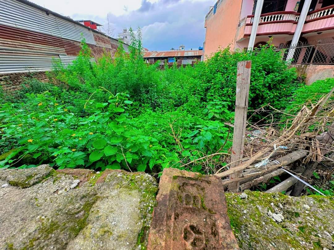 Picture of Budhanilkantha Municipality, Bagmati
