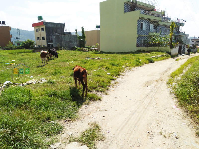 Picture of Budhanilkantha Municipality, Bagmati Province