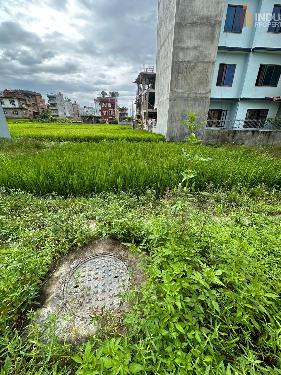 Picture of Mahalaxmi Municipality, Bagmati