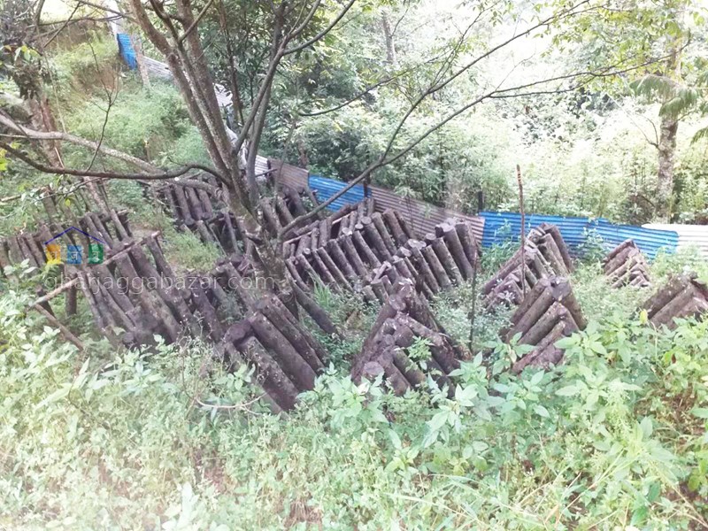 Picture of Shankharapur  Municipality, Bagmati Province