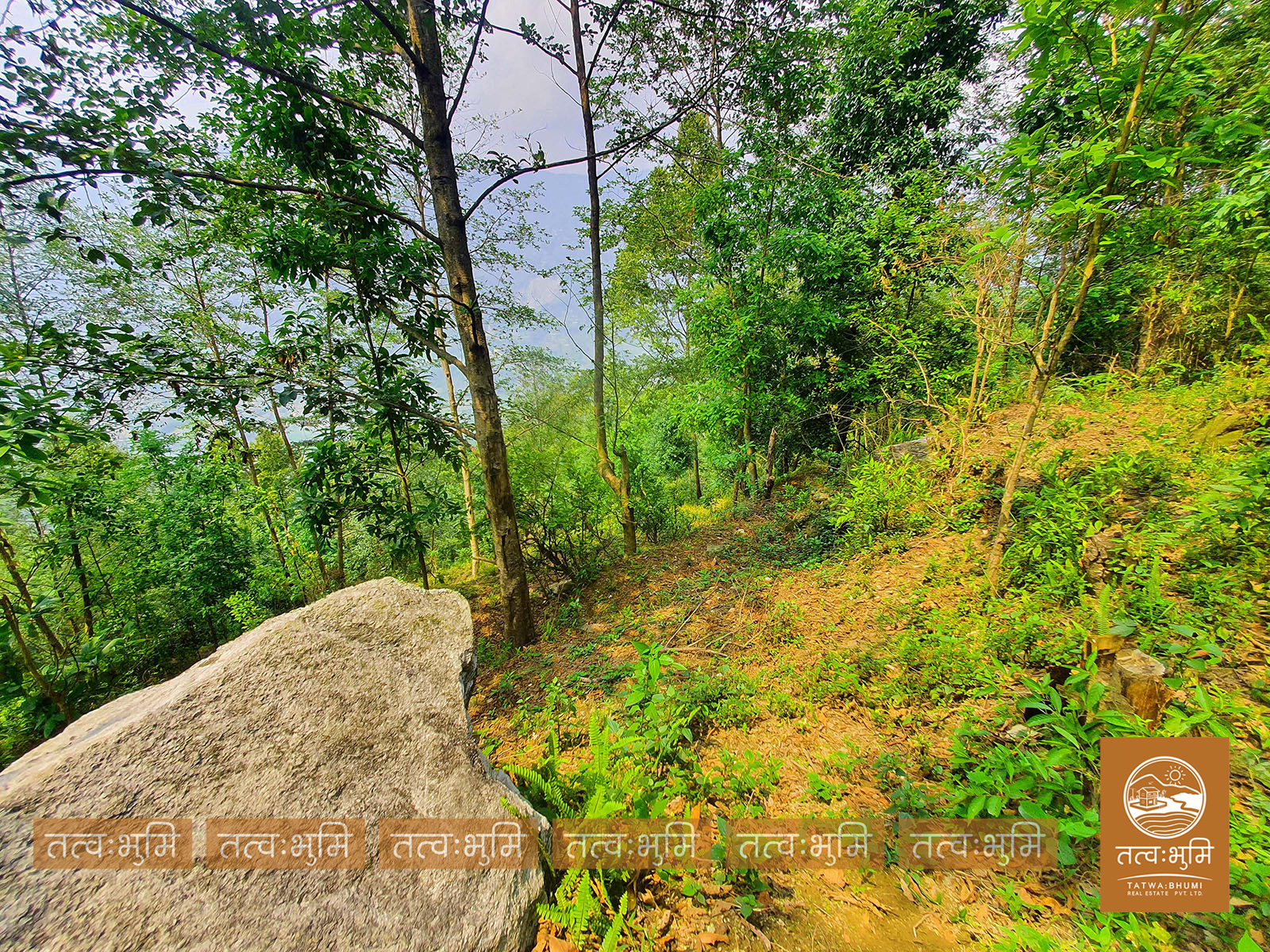 Picture of Shivapuri Rural Municipality, Bagmati