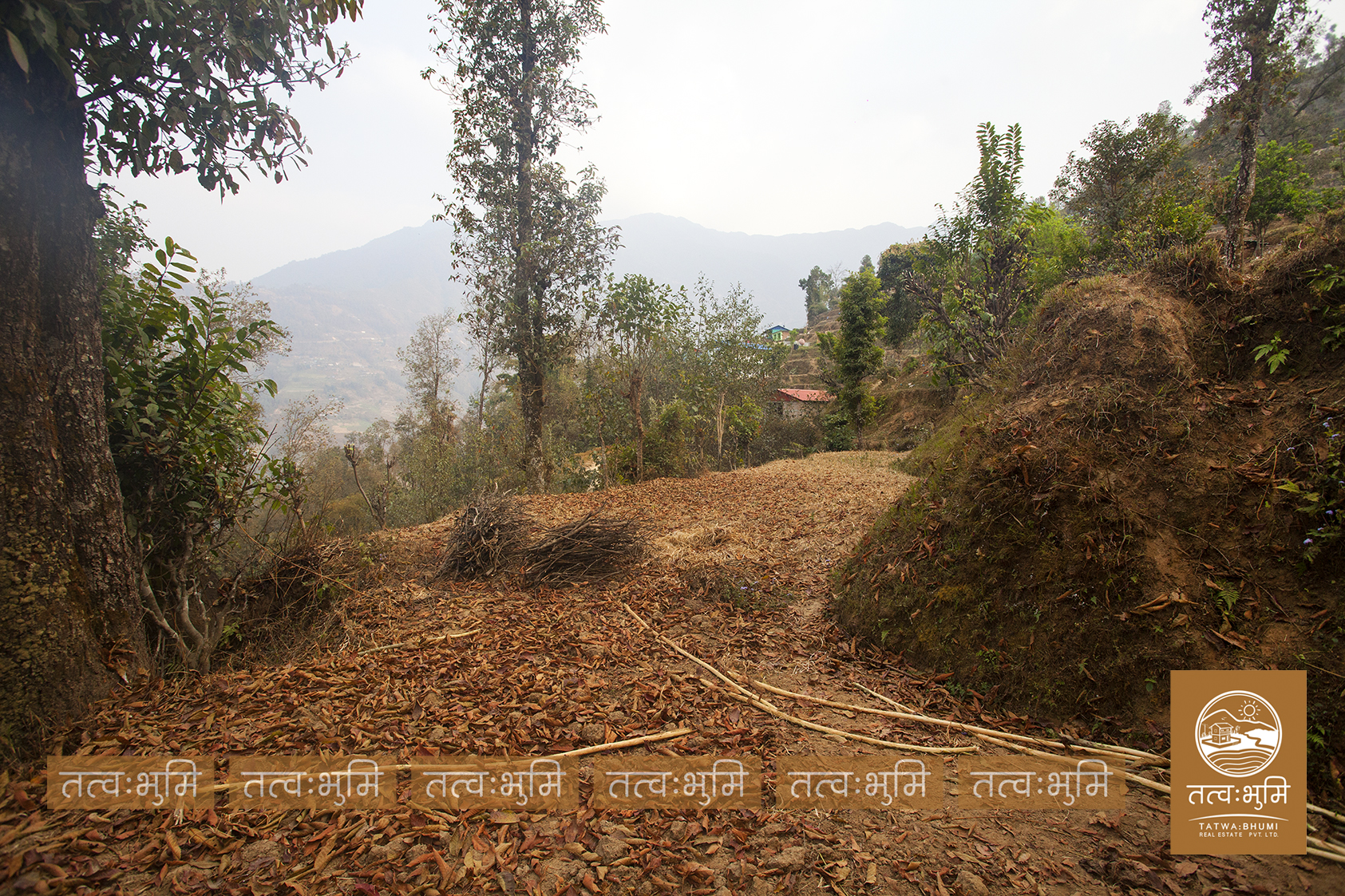 Picture of Shivapuri Rural Municipality, Bagmati