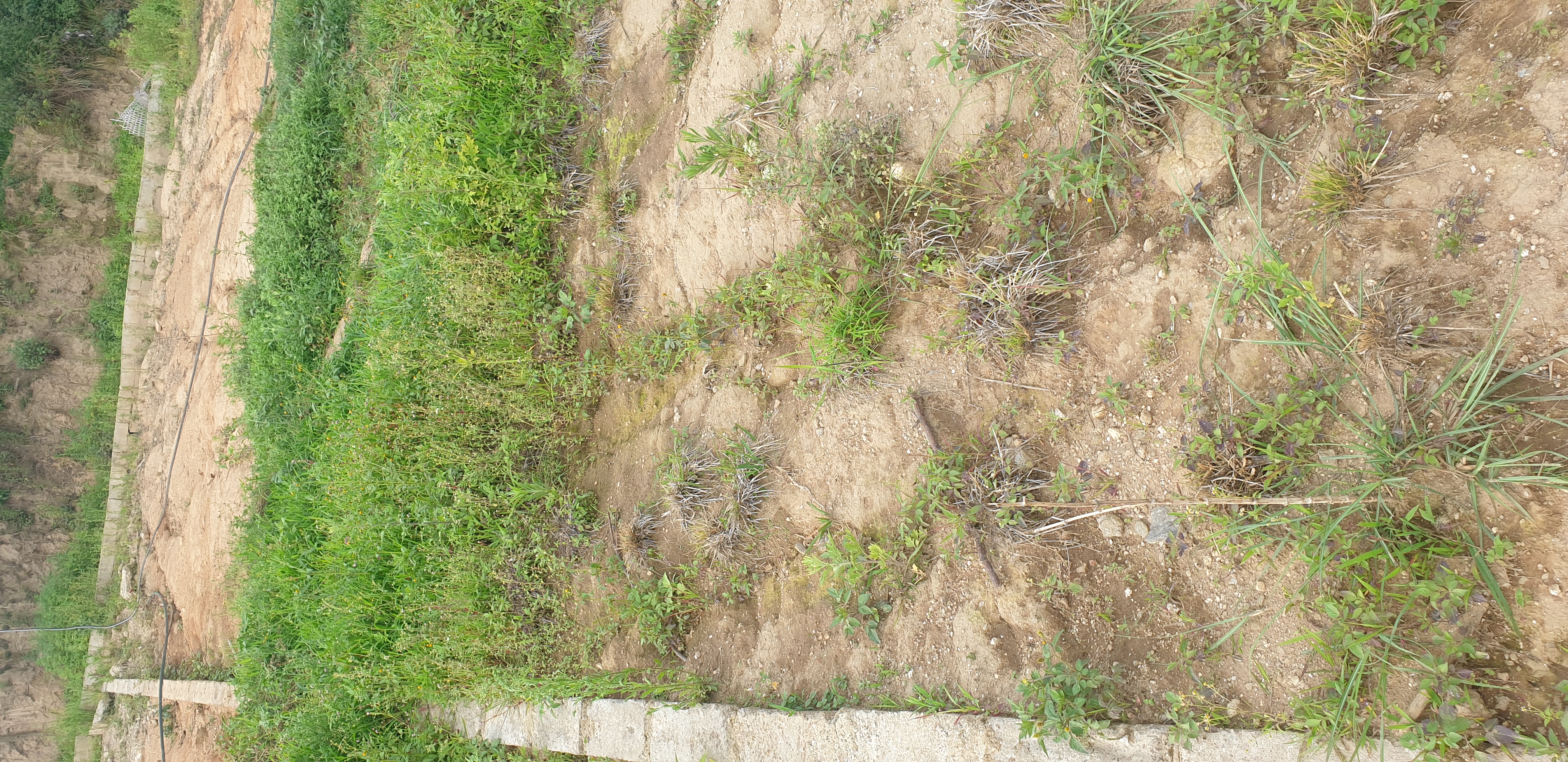 Picture of Gokarneshwar Municipality, Bagmati