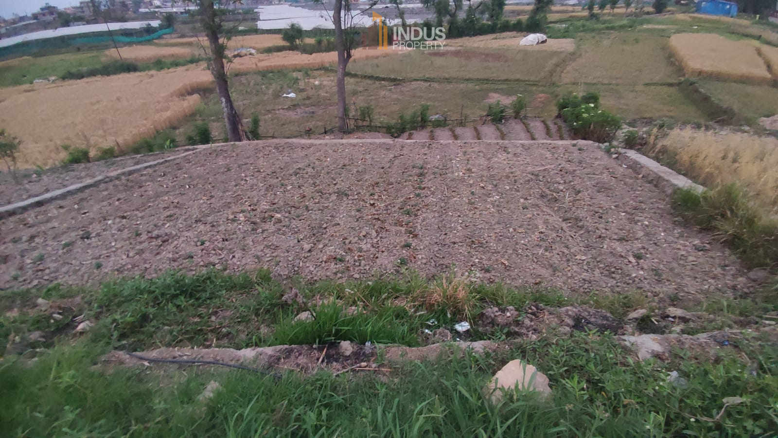 Picture of Mahalaxmi Municipality, Bagmati