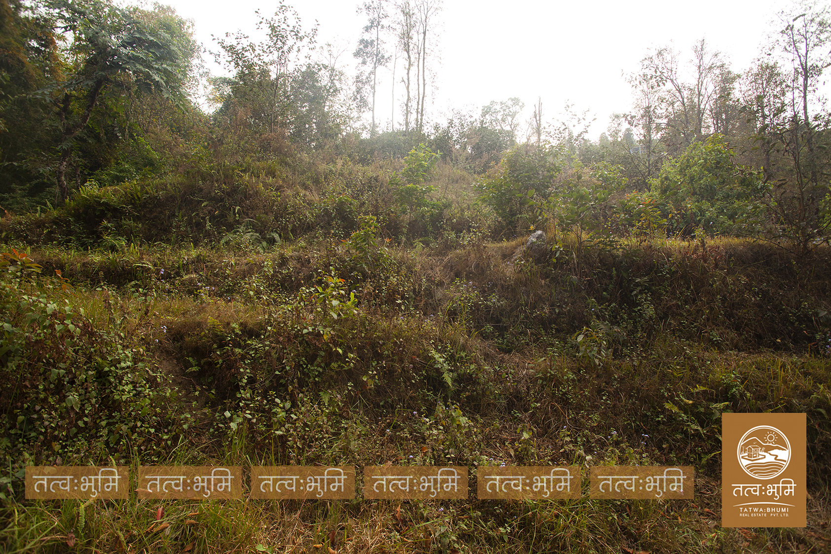 Picture of Shivapuri Rural Municipality, Bagmati