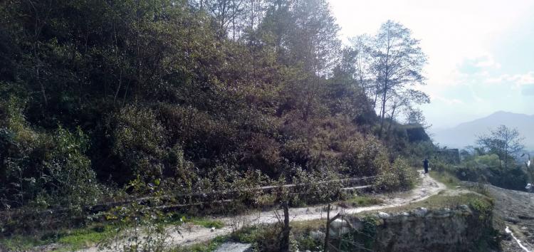 Picture of Budhanilkantha Municipality, Bagmati Province