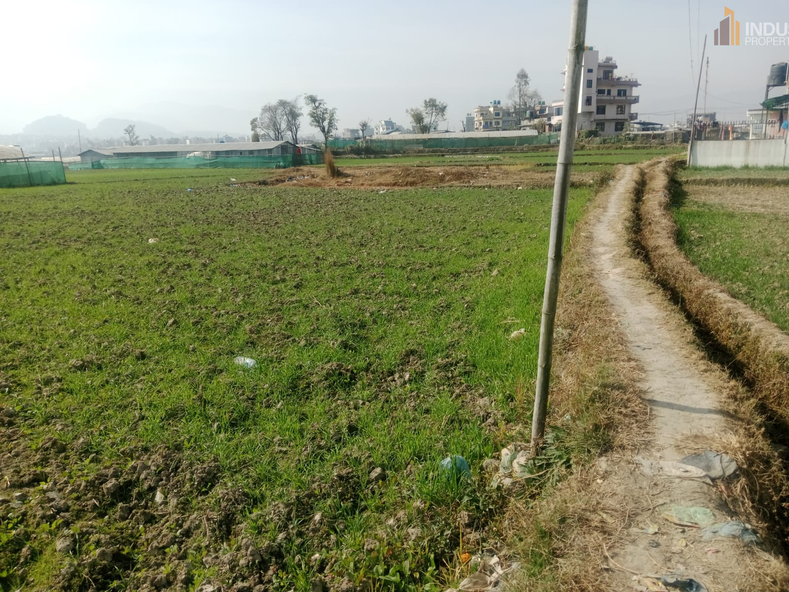 Picture of Mahalaxmi Municipality, Bagmati