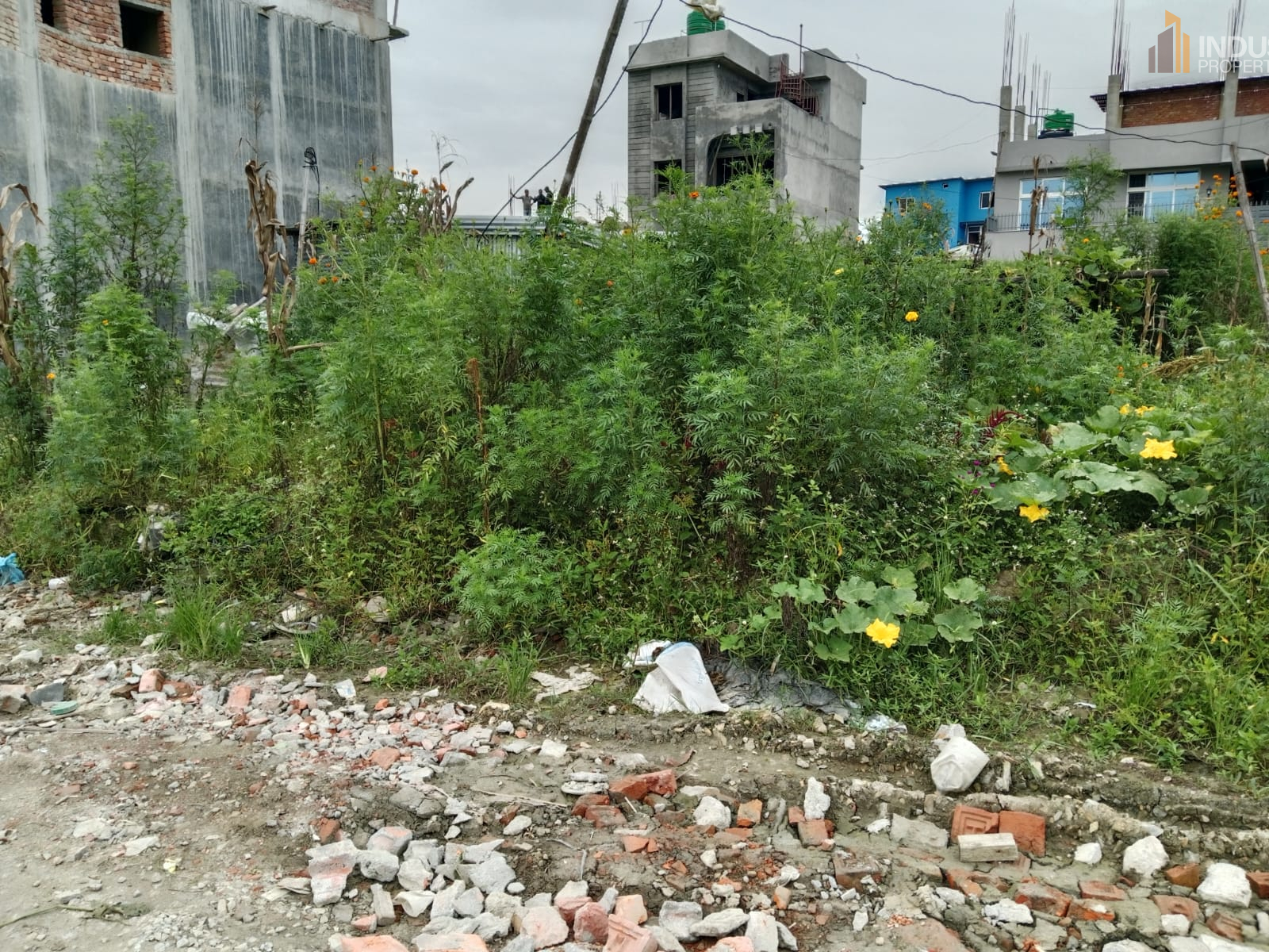 Picture of Mahalaxmi Municipality, Bagmati