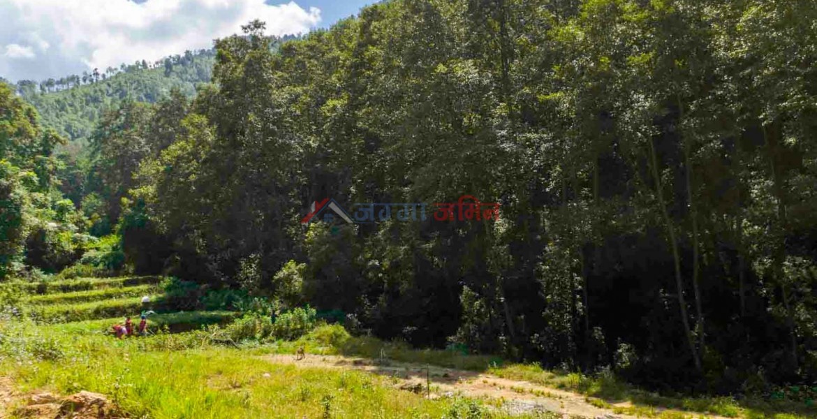 Picture of Godawari Municipality, Bagmati Province