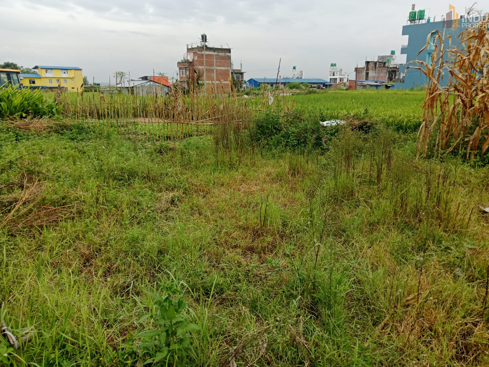 Picture of Mahalaxmi Municipality, Bagmati