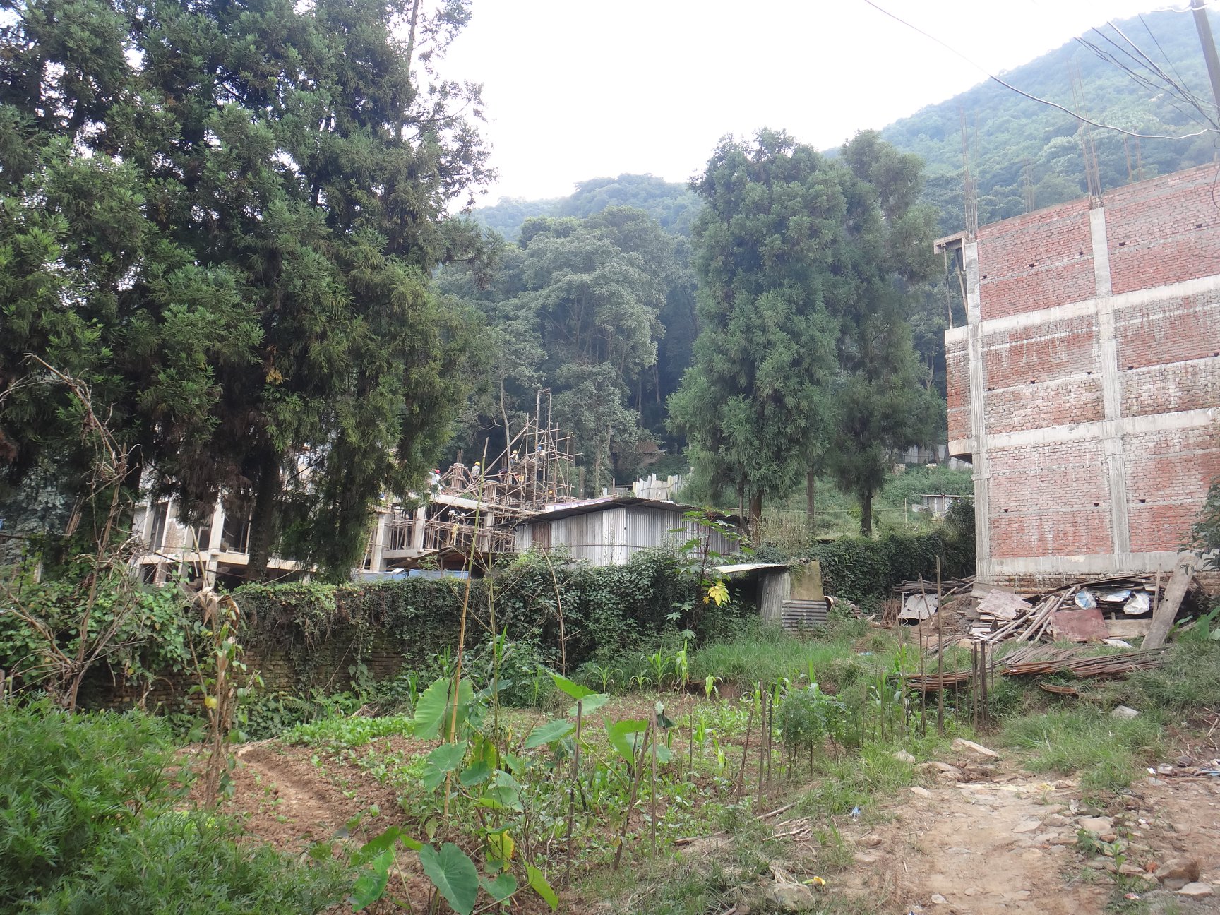 Picture of Tarkeshwor  Municipality, Bagmati Province