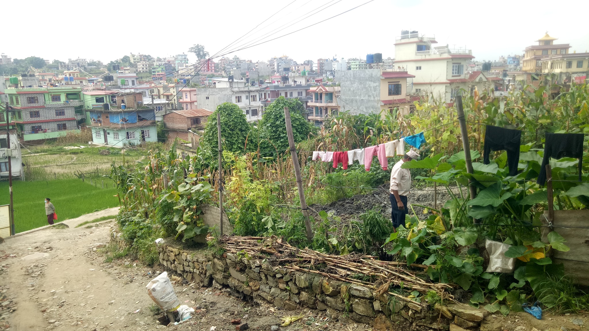 Picture of Budhanilkantha Municipality, Bagmati Province