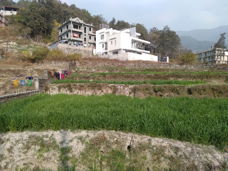 Picture of Budhanilkantha Municipality, Bagmati Province