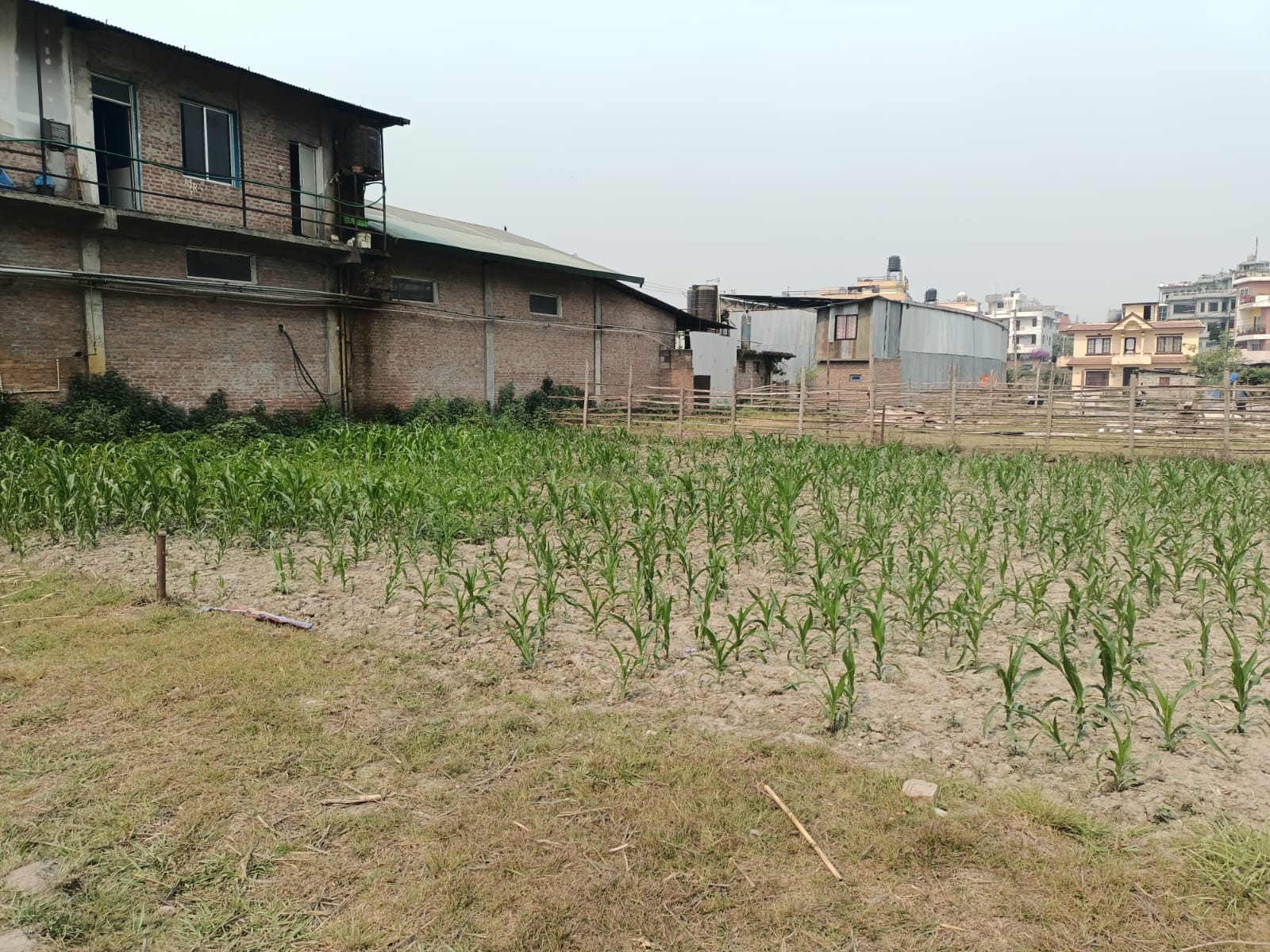Picture of Budhanilkantha Municipality, Bagmati