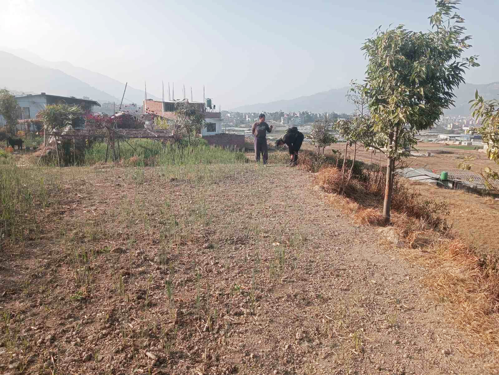 Picture of Kirtipur Municipality, Bagmati