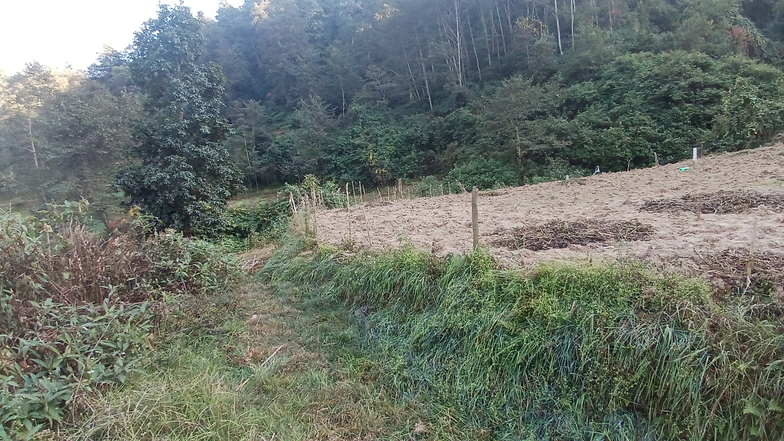 Picture of Suryabinayak Municipality, Bagmati