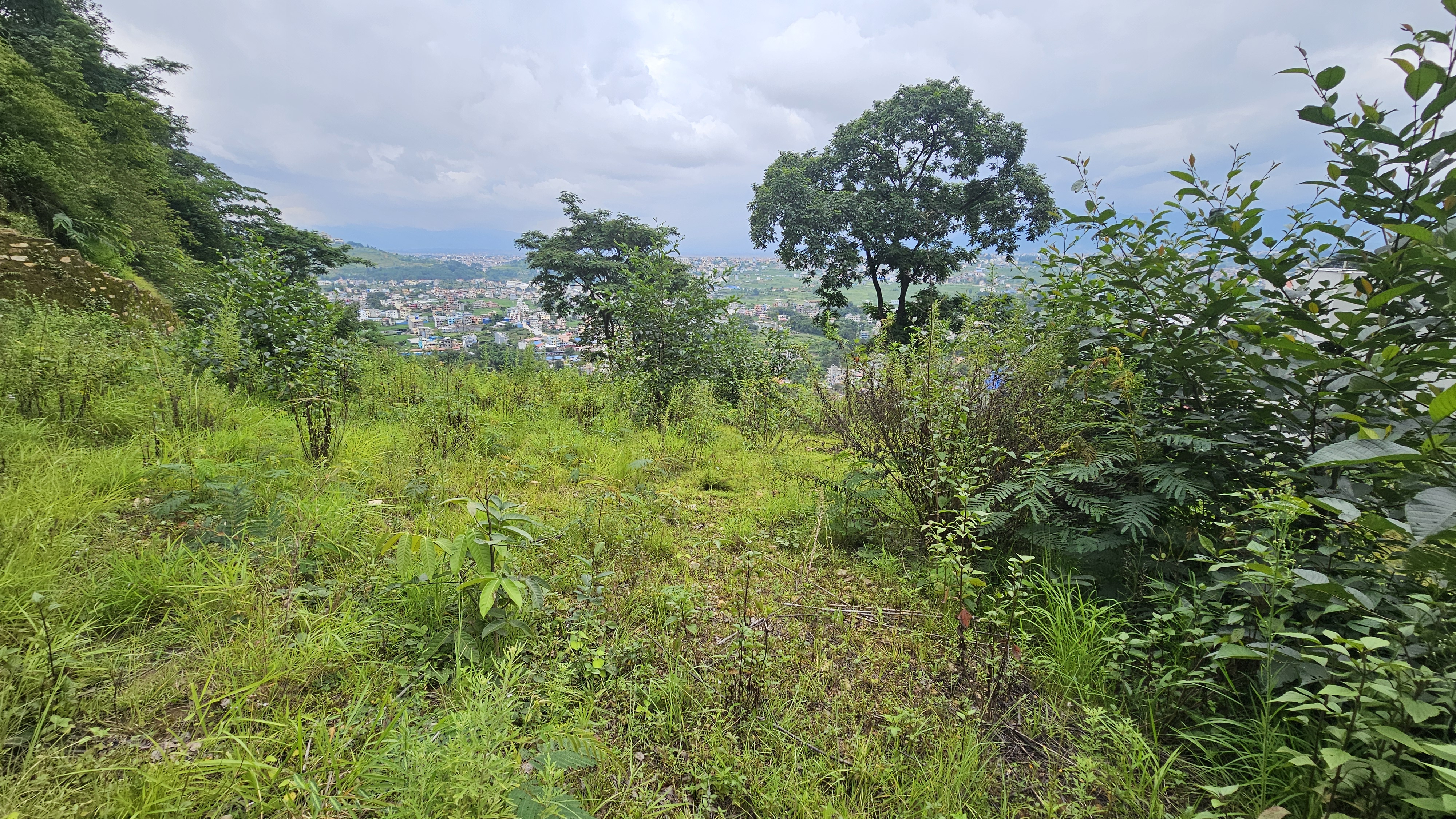 property-image