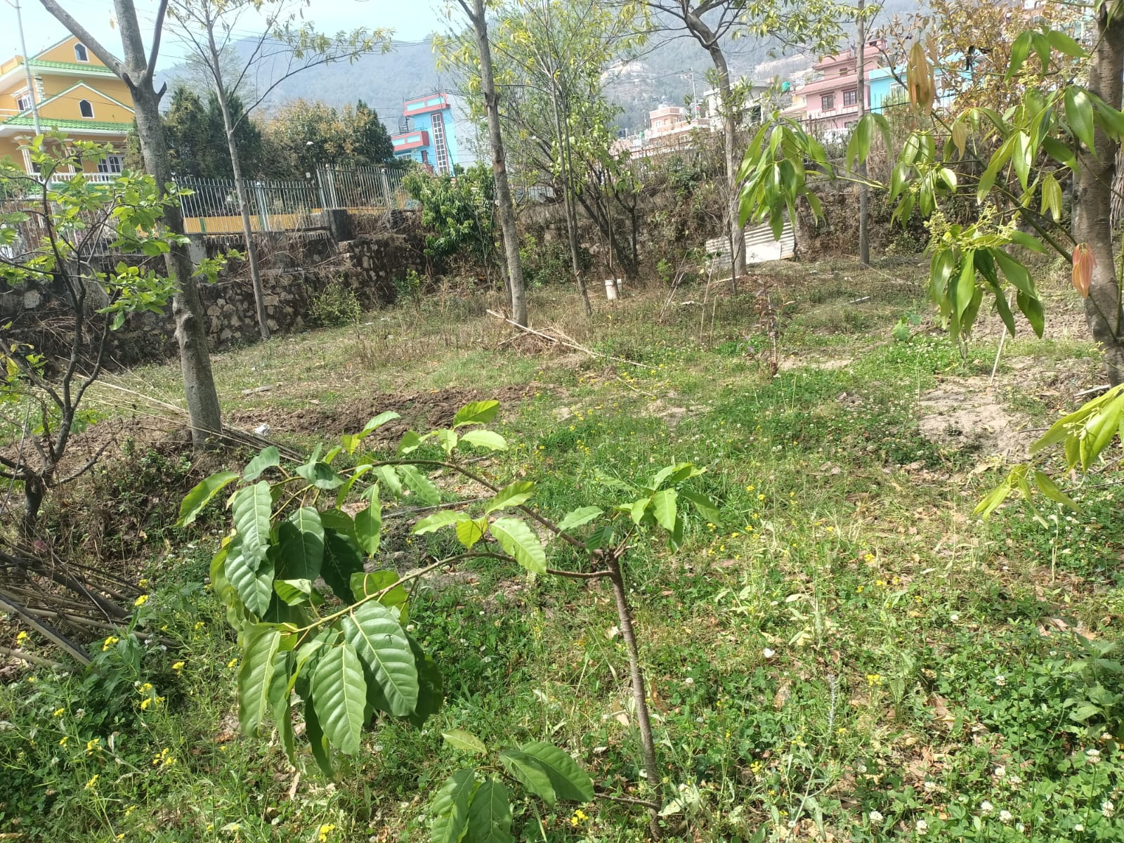 Picture of Budhanilkantha Municipality, Bagmati