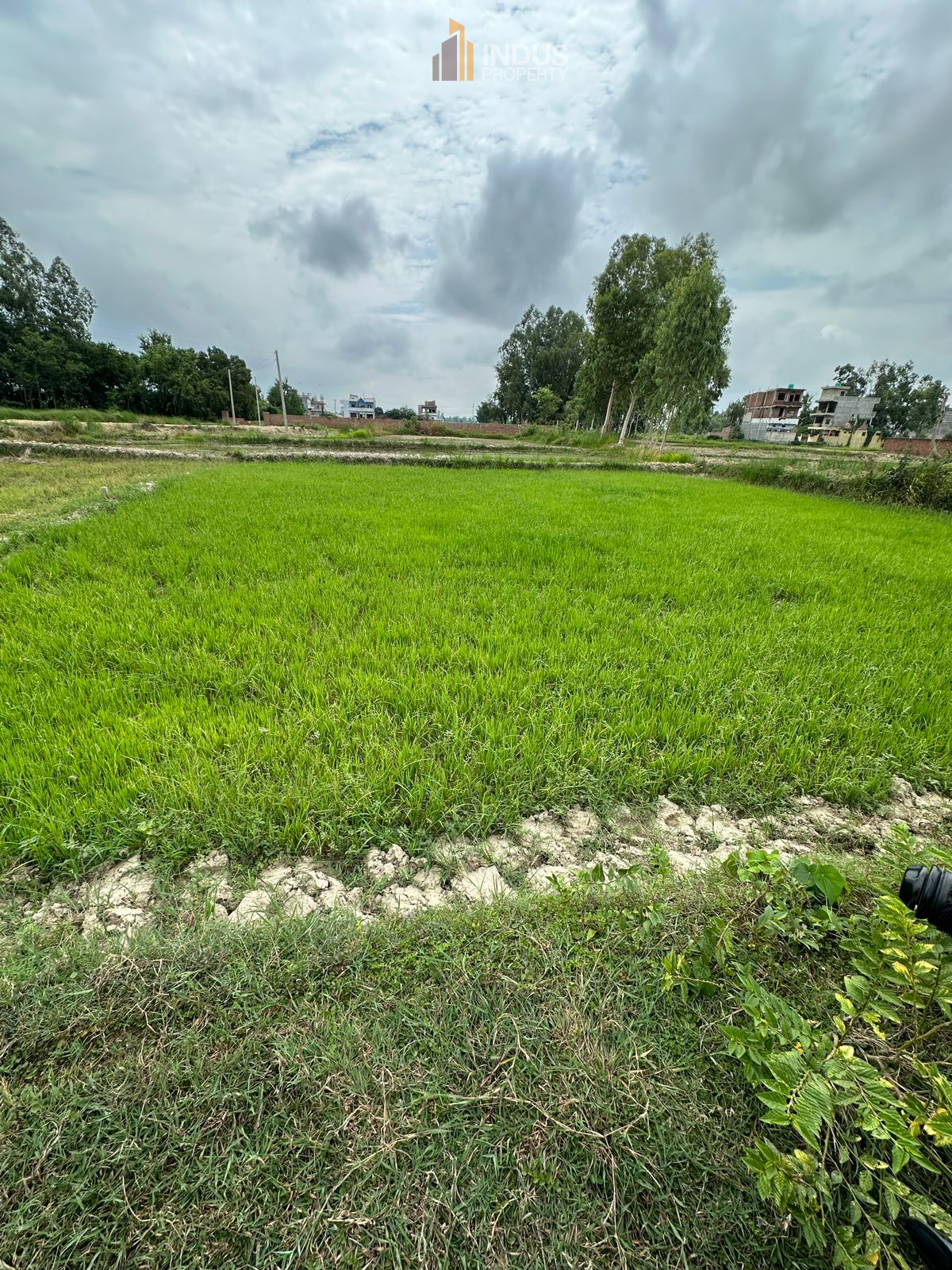 Picture of Janakpur Sub Metropolitan City, Madhesh