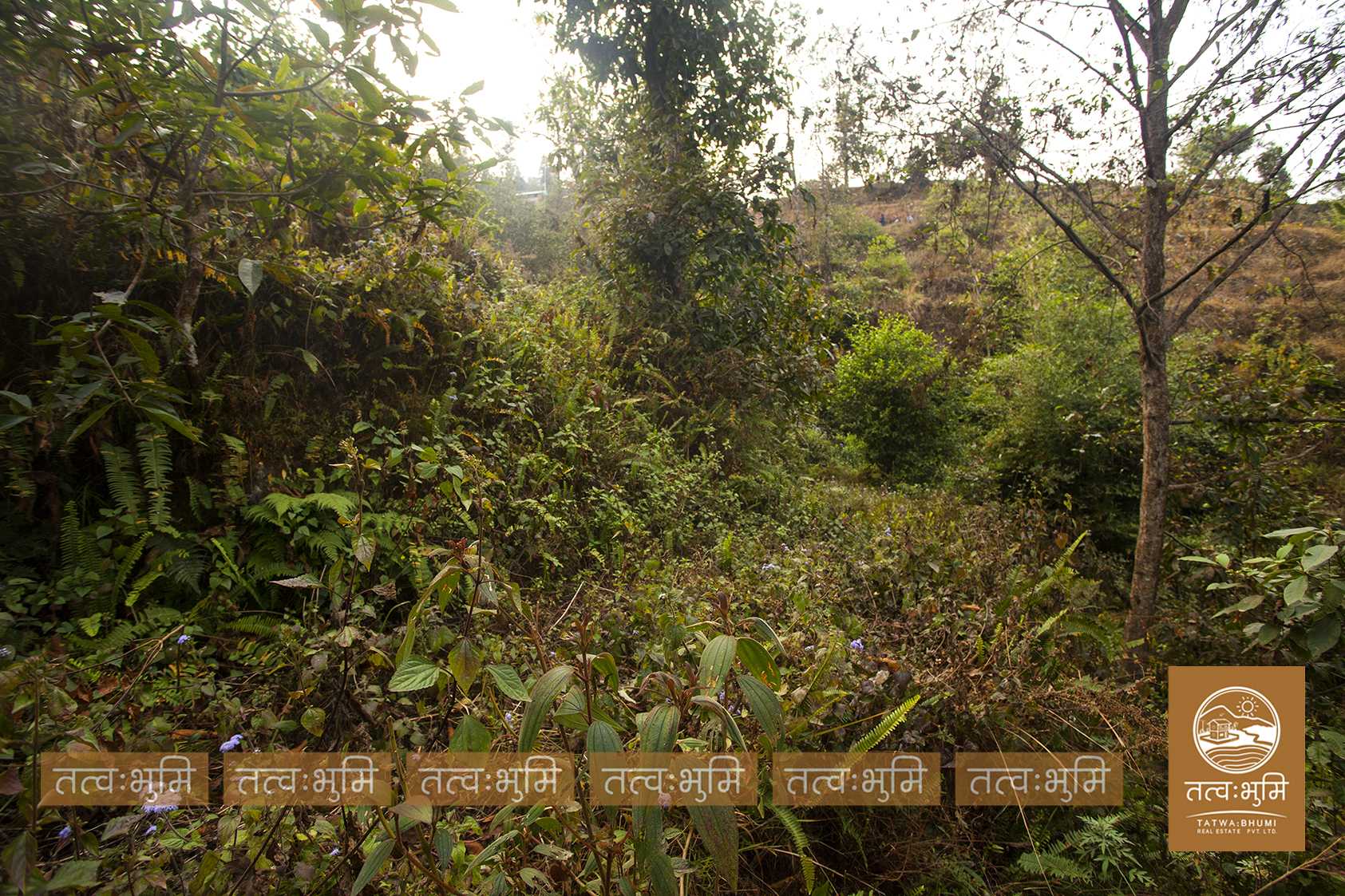 Picture of Shivapuri Rural Municipality, Bagmati