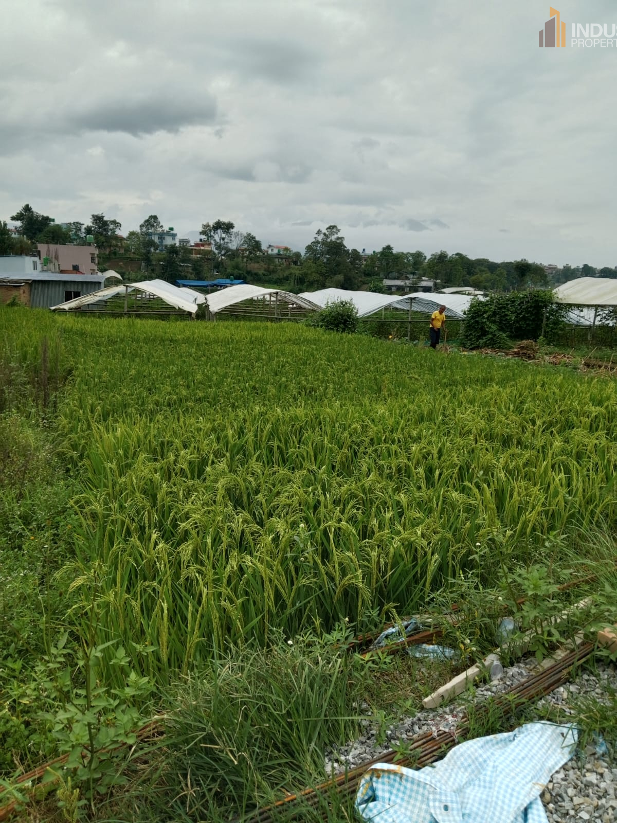 Picture of Mahalaxmi Municipality, Bagmati